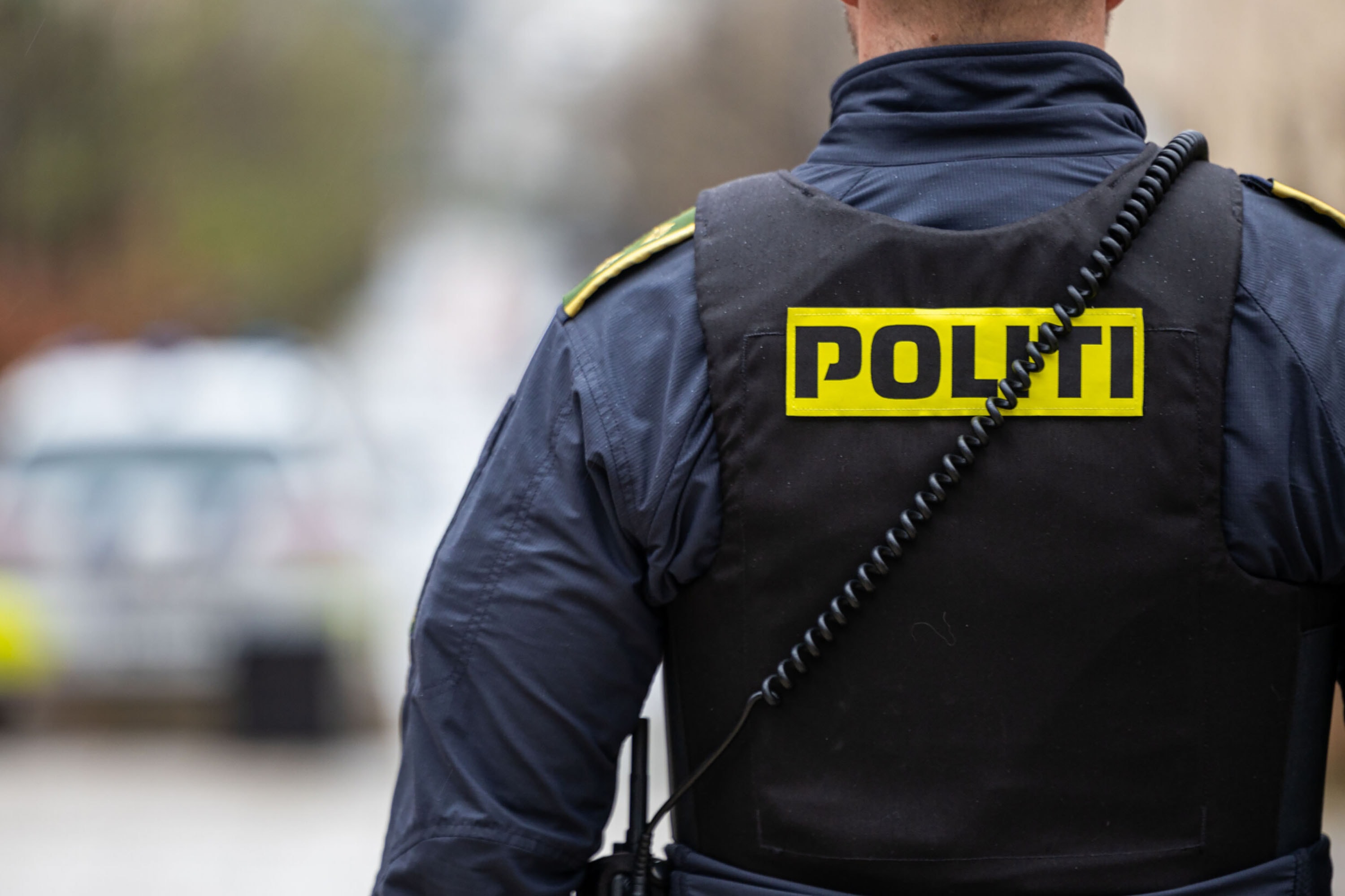 Politi ryggur
